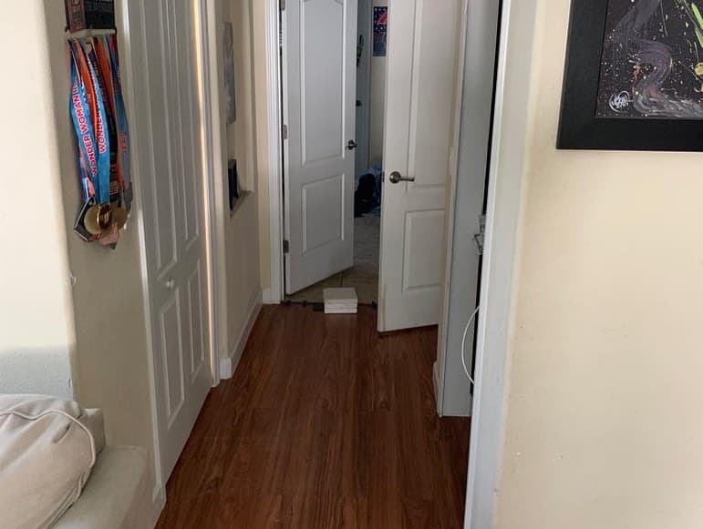Hall flooring brown laminate planks left bifold door white panel doors brushed lever hardware distance bright rooms.